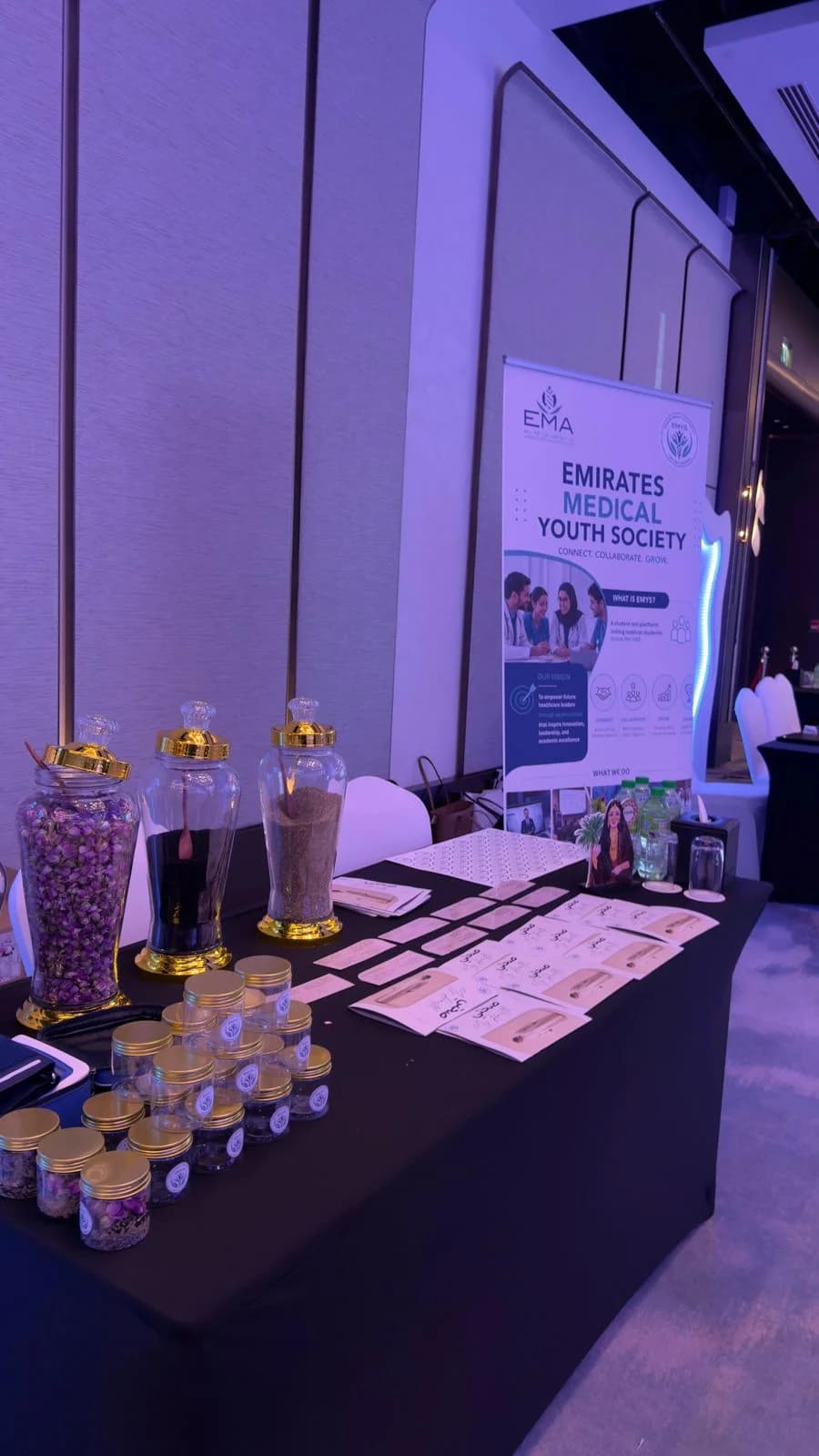 Emirati Women's Day with EMYS — photo 7 of 9